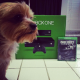 Illustration for article titled Look At These Dogs And Cats Confused By Xbox One
